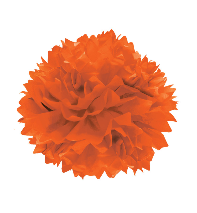 pompon-naranja.jpg